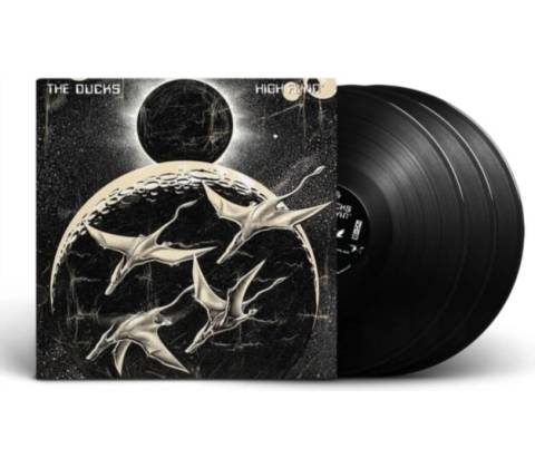 Ducks - High Flyin LP