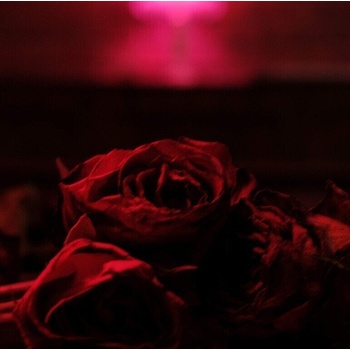 The Paper Kites - Roses (CD) (0067003124928)