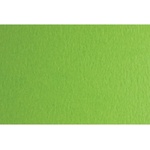 Fabriano Картон Colore, 50 x 70 cm, 140 g/m2, № 230, тревистозелен (43303230/2_VER.PIS)