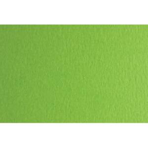 Fabriano Картон Colore, 50 x 70 cm, 140 g/m2, № 230, тревистозелен (43303230/2_VER.PIS)