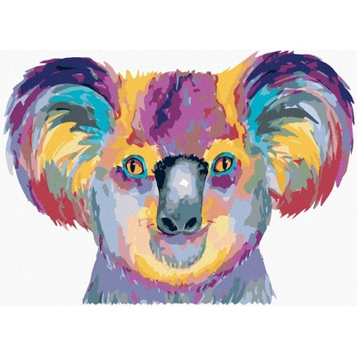 Zuty Malování podle čísel BAREVNÁ KOALA NA BÍLÉM POZADÍ