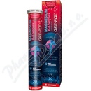 Glenmark Magnesium B-komplex GRE-PO eff.20 tablet