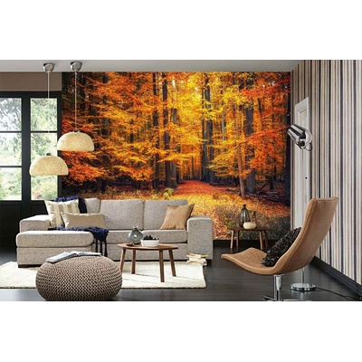 DIMEX ART Самозалепваща се флизелинова фототапета пътека в есенния парк 375 x 250 см