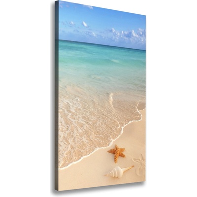 Vertikálny foto obraz na plátne Hviezdice na pláži 50x100 cm