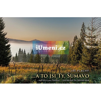 … a to jsi Ty, Šumavo | Jiří Plachý