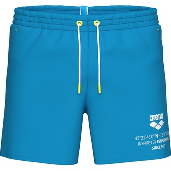 arena Graphic beach short s