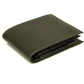 Image 1 of David Polo classico (013.4)