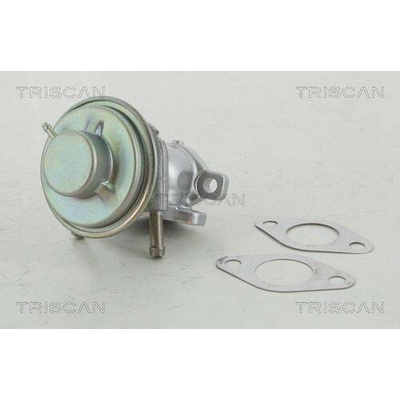 AGR-Ventil TRISCAN 8813 15029 (881315029)