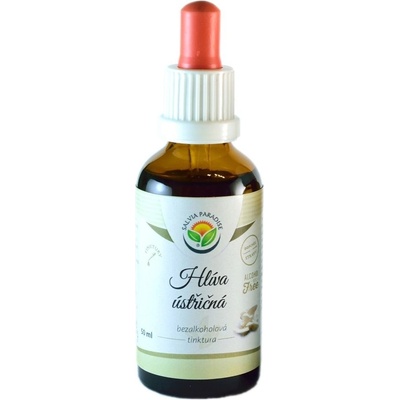 Salvia Paradise Hlíva ústřičná AF tinktura 50 ml