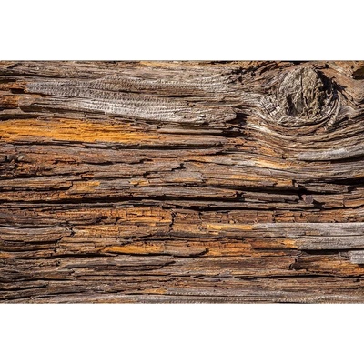 Dimex MS-5-0159 vliesová fototapeta na zeď Kůra stromu rozměry 375 x 250 cm