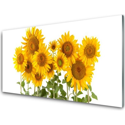Obraz na skle Slunečnice 100x50 cm