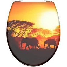 Eisl Africa 82360