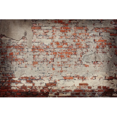 Dimex MS-5-2653 Vliesová fototapeta Oprýskaná cihlová zeď rozměry 375 x 250 cm