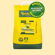 BRALEP rychletuhnoucí jednsl. cementový opravný tmel BRALEP ROT 01 PLUS 3 kg