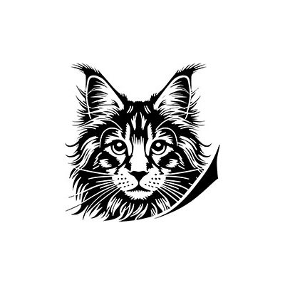 samolepka Mainská mývalí kočka 1