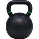 TRUESTEEL StrongGear ocel 24 kg