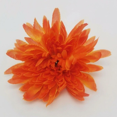 Chryzantéma jehlicová - žlutooranžová - VL0335