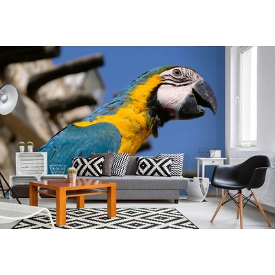 Dimex MA-5-0404 Samolepicí vliesová fototapeta na zeď Papoušek Macaw rozměry 375 x 250 cm