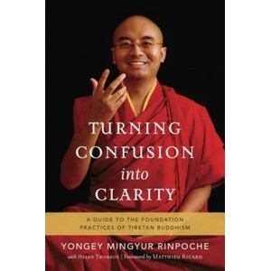 Turning Confusion into Clarity | Yongey Mingyur (ISBN: 9781611801217)