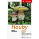Houby