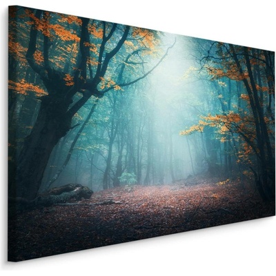 Plátno Mystický 3D Les Varianta: 70x50