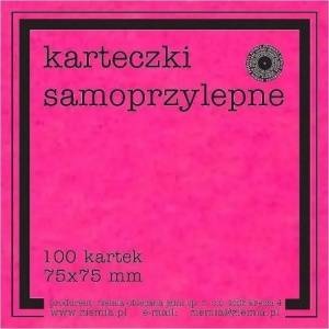 Ziemia Obiecana Sticky Notes Fluo 75x75mm 100K roses