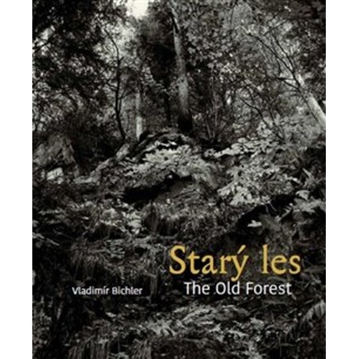 Starý les / The Old Forest