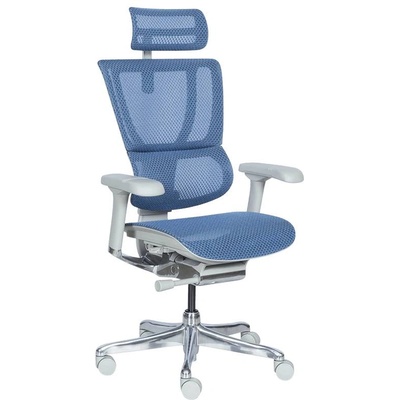 Ергономичен стол ergohuman ioo elite 2 - сива рамка - син (b3520672)