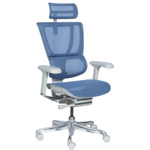  Ергономичен стол ergohuman ioo elite 2 - сива рамка - син (b3520672)