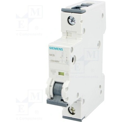 Siemens 5SY4106-6