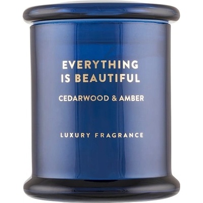 F&F Home Everything is Beautiful Cedarwood & Amber 230 g