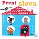 První slova - Jane Ormes