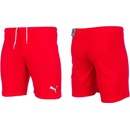 Puma teamRISE short jr 704943