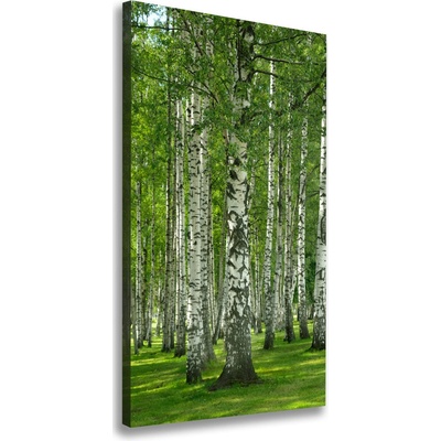 Vertikálny foto obraz canvas Brezový les 50x100 cm