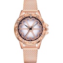 Miranda Vansvar S1810