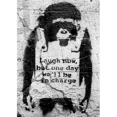 Banksy street art - chimp, 42 × 59 cm