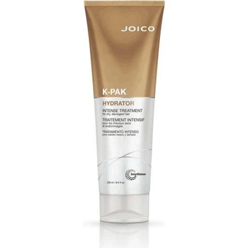 Joico Маска за хидратация на суха и увредена коса K - pak Hydrator Intense Treatment 250ml