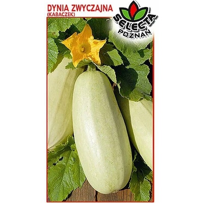 Tekvica "Golden Cepelin" 3 g