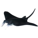Manta