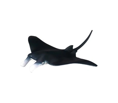 Manta
