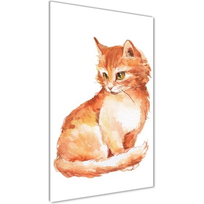 Vertikálny fotoobraz na skle Červená mačka 50x100 cm