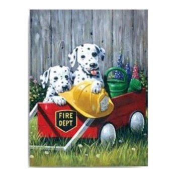 Malování podle čísel Dalmatýni