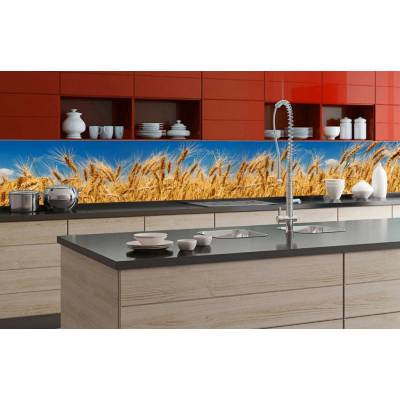Donga Samolepiaca umývateľná fotofototapeta za kuchynskú linku rozmery Pšeničné pole, rozmery 350x60 cm