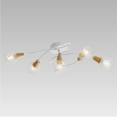 PREZENT Tameta 27506