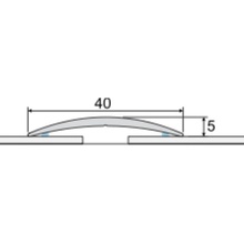 Effector Prechodový profil A13 samolepiaci Striebro EF3P00361 0,93 m