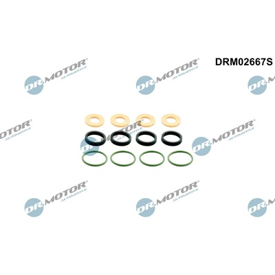 DR.MOTOR AUTOMOTIVE Sada tesnení pre vstrekovaciu trysku DRM02667S