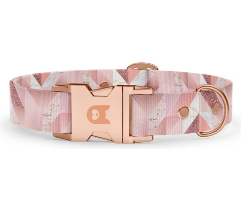 Obodog obojek BASIC Collection