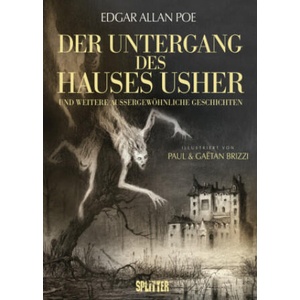 Der Untergang des Hauses Usher (illustrierter Roman) | Gaëtan Brizzi, Paul Brizzi (ISBN: 9783689500078)