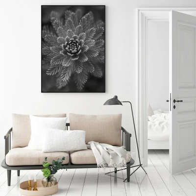 Plakát - Conifer Grey, velikost 50x70 cm