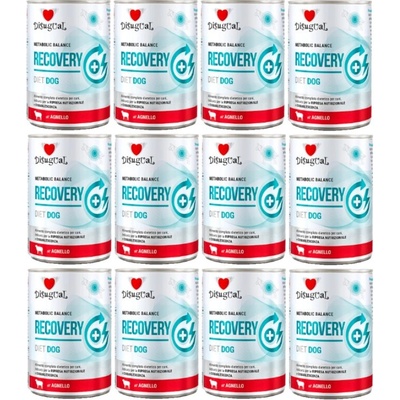 Disugual Veterinárne Recovery Jahňacie dospelý 12 x 400 g